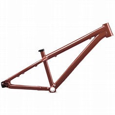 SANTA CRUZ JACKAL
