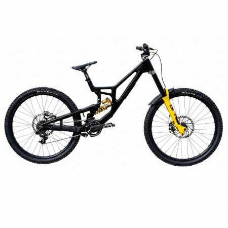 Santa Cruz V10 Custom
