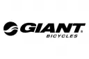 logo-giant
